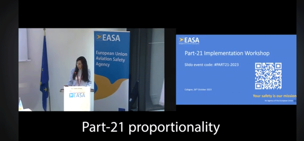 Common Challenges Facing Alliance Members Presented to EASA